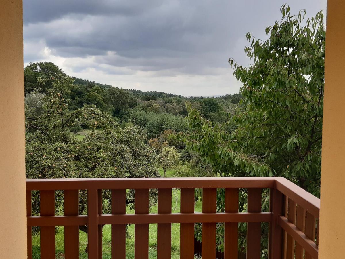 Apartmány U Zvoničky Prachov Kültér fotó